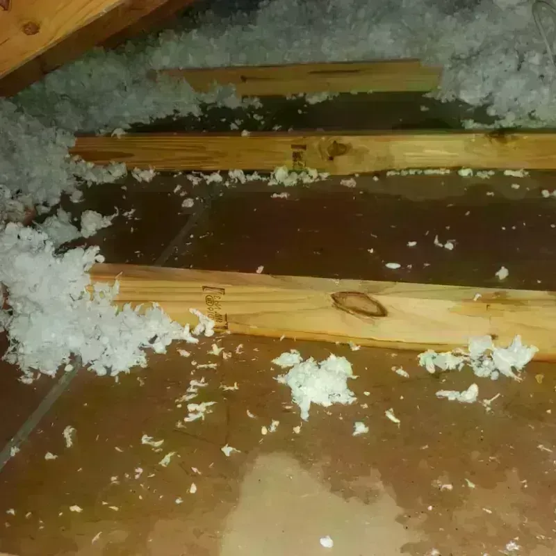 Attic Water Damage in Wood-Lynne, NJ