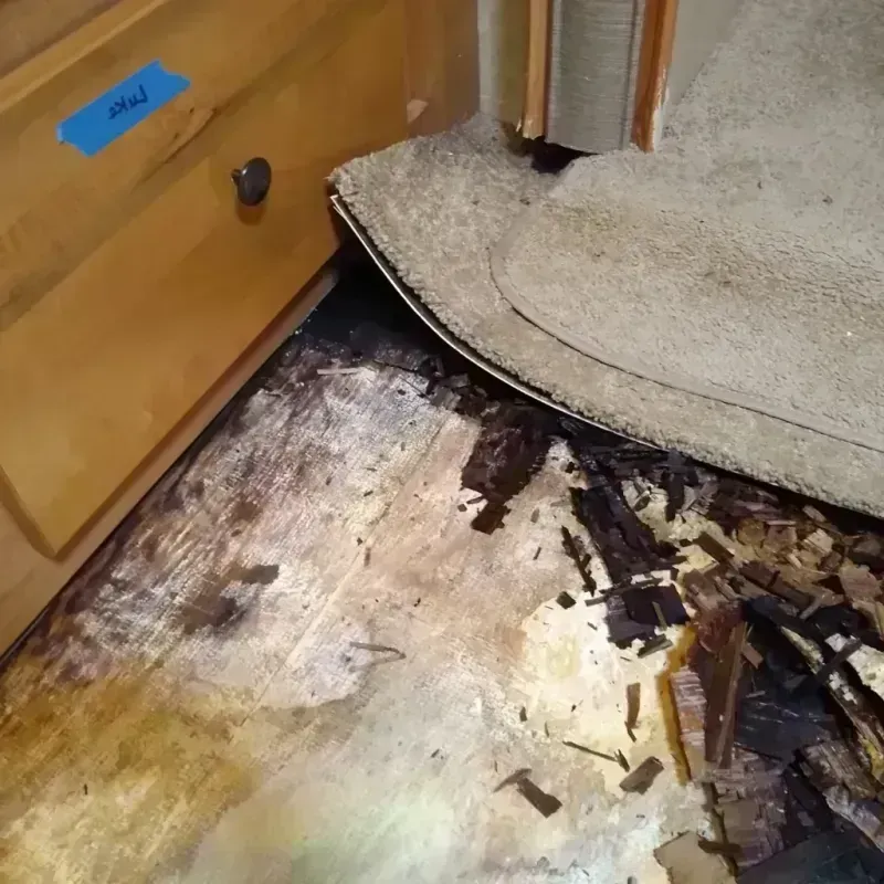 Best Wood Floor Water Damage Service in Wood-Lynne, NJ